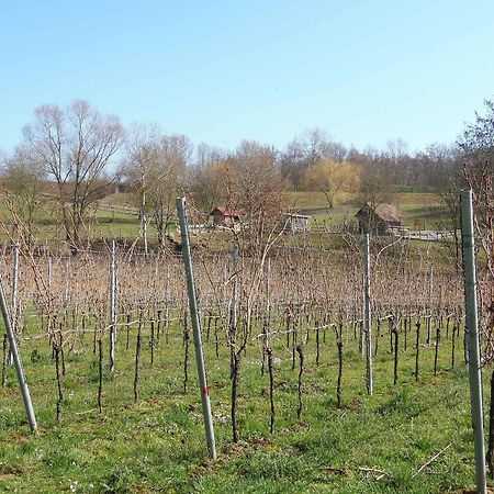 Ferienwohnungen Hog , Ringsheim Buitenkant foto
