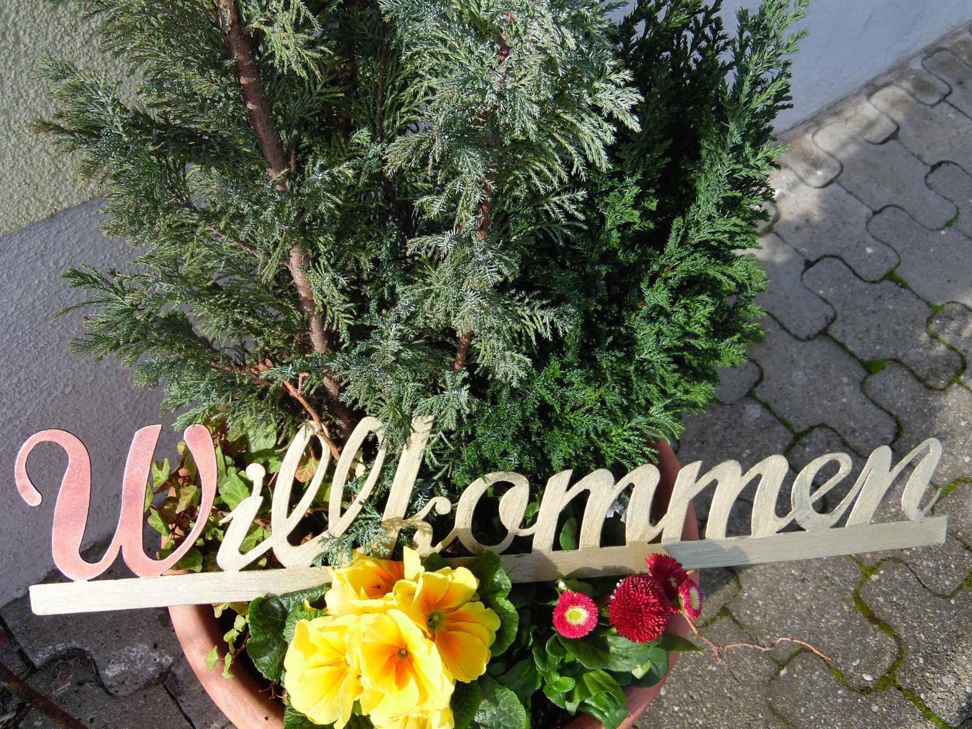 Ferienwohnungen Hog , Ringsheim Buitenkant foto