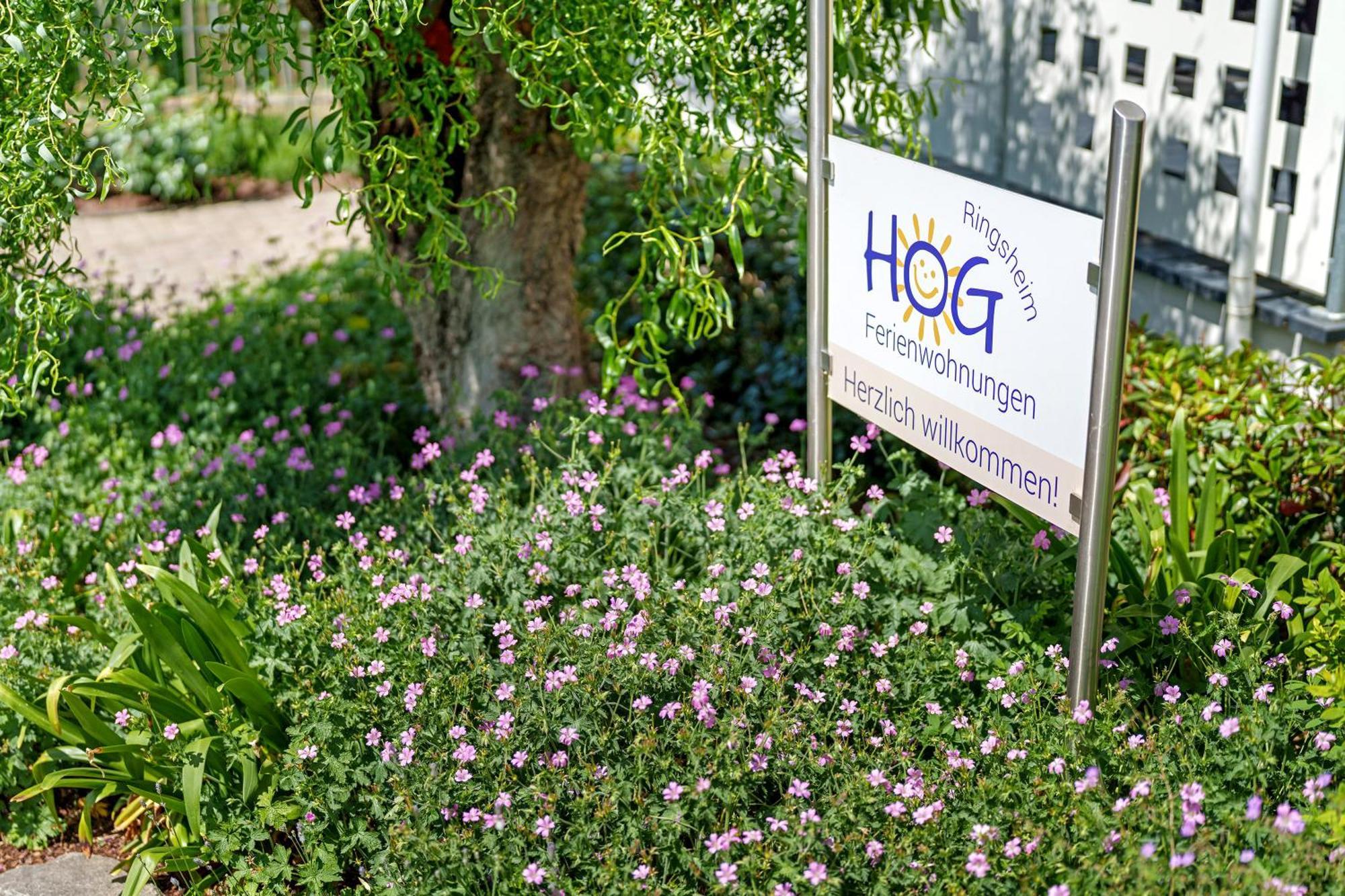 Ferienwohnungen Hog , Ringsheim Buitenkant foto